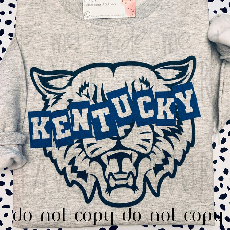 Kentucky Wildcats