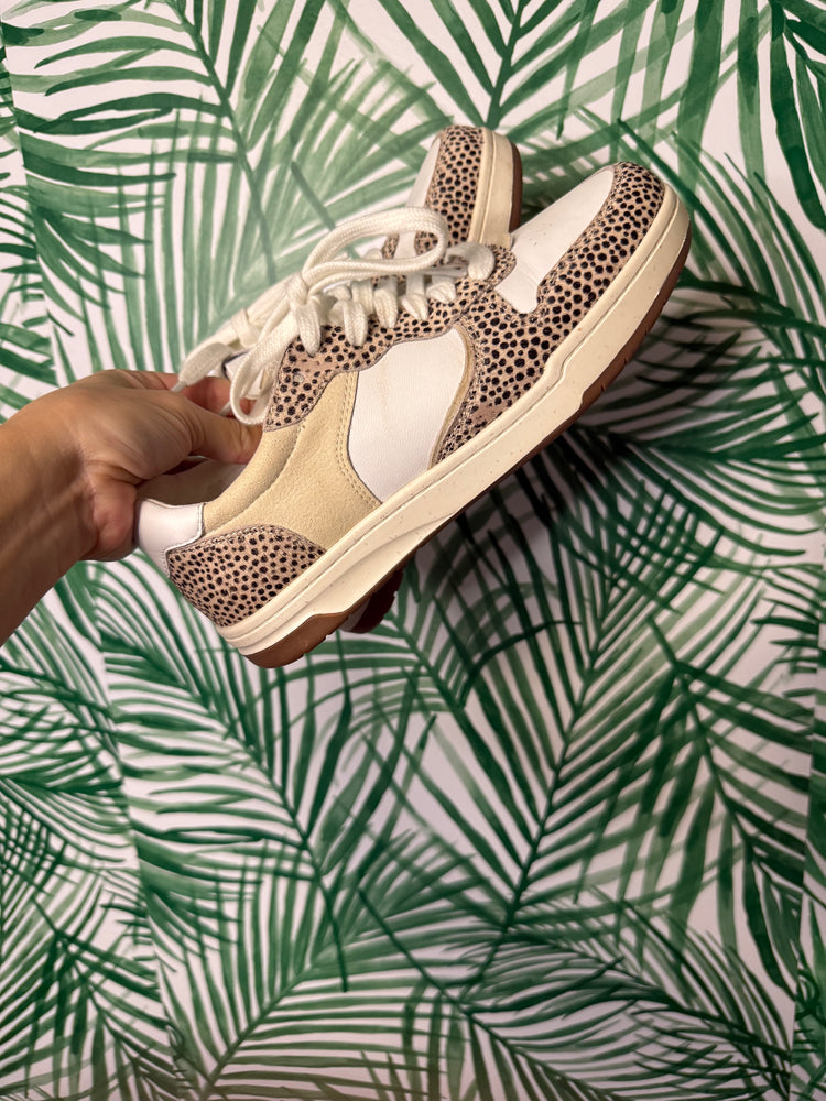 Madewell SIdewalk Low-top Sneaker