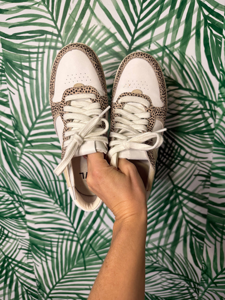 Madewell SIdewalk Low-top Sneaker