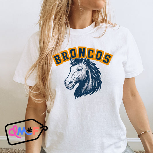 Vintage Broncos